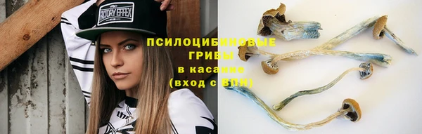 Альфа ПВП Алексин