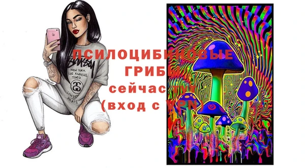 шишки Алексеевка