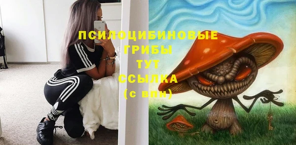 Альфа ПВП Алексин